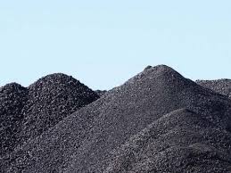 تولید کننده زغال در ایران